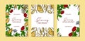 Set of ginseng colorful vertical designs. Hand drawn botanical vector illustration in sketch style. Can be used for packaging,