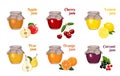 Set of glass jars of jam isolated on white background. Apple, cherry, lemon, orange, currant, pear. Vector illustration of ho