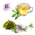 Set of glass teapot and cup, passion flower, stem watercolor illustration isolated on white.