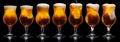 Set of Glasses of Beer Royalty Free Stock Photo