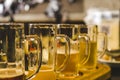 set of glasses with different types of beer Royalty Free Stock Photo