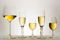 Set of glasses with white wine in series or row.