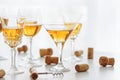 Set of glasses of yellow wine at wine tasting Royalty Free Stock Photo