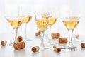 Set of glasses of yellow wine at wine tasting on white wooden table Royalty Free Stock Photo