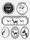 Set of goat labels, badges and design elements.