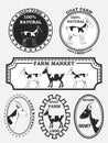Set of goat labels, badges and design elements. Vector