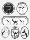 Set of goat labels, badges and design elements. Vector Royalty Free Stock Photo