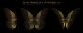 Set of gold butterflies on a black background. Composition from bright lines. Vector illustration. Royalty Free Stock Photo