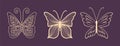 Set of gold butterflies for a luxury logo or tattoo. Chic vector design element for your luxury brand. A symbol of freedom, flight Royalty Free Stock Photo