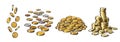 Set of gold coins in different positions. Falling dollars, pile of cash, stack of money. Hand drawn collection isolated Royalty Free Stock Photo