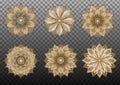 Set gold geometric transparent flowers for chinese new year backgrounds and decorations Royalty Free Stock Photo