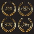 Set from gold laurel wreath Royalty Free Stock Photo