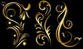 Set of golden floral elements on a black background,Ornamental border,swirls and flowers,Decorative design element for page