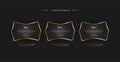 A set of Golden frame luxury option buttons template, the premium infographics shapes design of three steps Levels option styles,