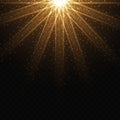 Set of golden glowing effects, glare and dust isolated on transparent background. Royalty Free Stock Photo