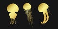 Set golden jellyfish, medusa, sea jelly or nettle-fish sign icon on black background. Gold vector clipart illustration Royalty Free Stock Photo