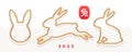 Set of golden rabbit outline. Bunny silhouette collection.. Year of the rabbit. Design elements for Chinese new year greering.