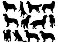 Set of Golden Retriever Dog silhouette vector art Royalty Free Stock Photo