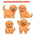 Set of golden retriever puppy dog
