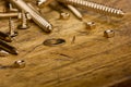 Set of golden screws, bolts, nails, washers, nuts on wooden back Royalty Free Stock Photo