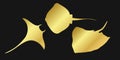 Set golden stingray, manta ray or devilfish sign icon on black background. Gold vector clipart illustration