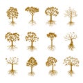 Set of Golden Trees and Roots