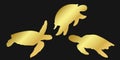 Set golden turtle or tortoise sign icon on black background. Gold vector clipart illustration