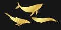 Set golden whale, cachalot, narwhal, unicorn-fish, killer whale, white whale or sperm whale sign icon on black background. Gold Royalty Free Stock Photo