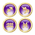 Set of the Golden Zodiac Signs Royalty Free Stock Photo