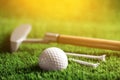 Golf equipment in park on sunny day Royalty Free Stock Photo