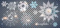 Set of graceful snowflakes on a transparent background Royalty Free Stock Photo