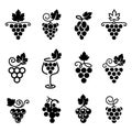 Set of grapes logos and icons isolated on white backgroundÃÅ½ Royalty Free Stock Photo