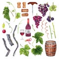 Set of grapes, wine glass, bottle, corkscrew, barrel, grape leaves. Hand drawn watercolor illustration on white background. Royalty Free Stock Photo