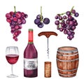 Set of grapes, wine glass, bottle, corkscrew, barrel, wine corks. Hand drawn watercolor illustration on white background. Perfect Royalty Free Stock Photo