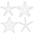 Set of graphic black and white images of sea stars. Isolated vector objects.