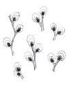 Set of graphic black and white pattern of a sprig of flowering willow on a white background