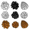 Set with graphic pinecones on white background.