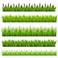 Set from grass Royalty Free Stock Photo