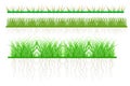 Set grass isolated on white background. Royalty Free Stock Photo