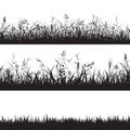 Set of grass seamless borders. Black silhouette of grass, spikes and herbs. Vector. Royalty Free Stock Photo