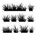 Set of grass silhouettes on the white background. Royalty Free Stock Photo