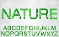 Set of grass textured isolated font on white background.