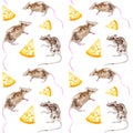 A set of gray rats and a piece of yellow cheese. Symbol of 2020 new year. Watercolor illustration isolated on white background. Royalty Free Stock Photo