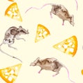 A set of gray rats and a piece of yellow cheese. Symbol of 2020 new year. Watercolor illustration isolated on yellow  background. Royalty Free Stock Photo