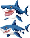 A set of great white sharks with big teeth smiling and swimming isolated on a white background