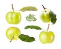 Set green apple with leaf in different angles Royalty Free Stock Photo