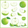 Set of green apple in pieces, whole, slice and half in vector format isolated on white