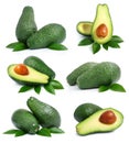Set of green avocado fruits with leaf