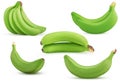 Set green bananas bunch, two, single