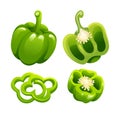 Set of green bell pepper whole, half and cut slice illustration Royalty Free Stock Photo